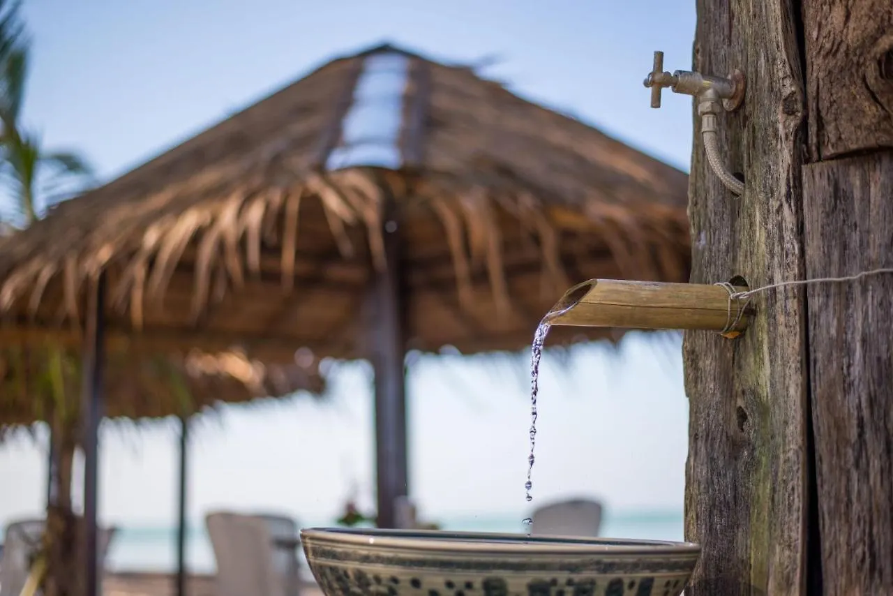 **** Resort Thailife Wellness & Meditation Resort- Sha Plus Khao Lak Thailand
