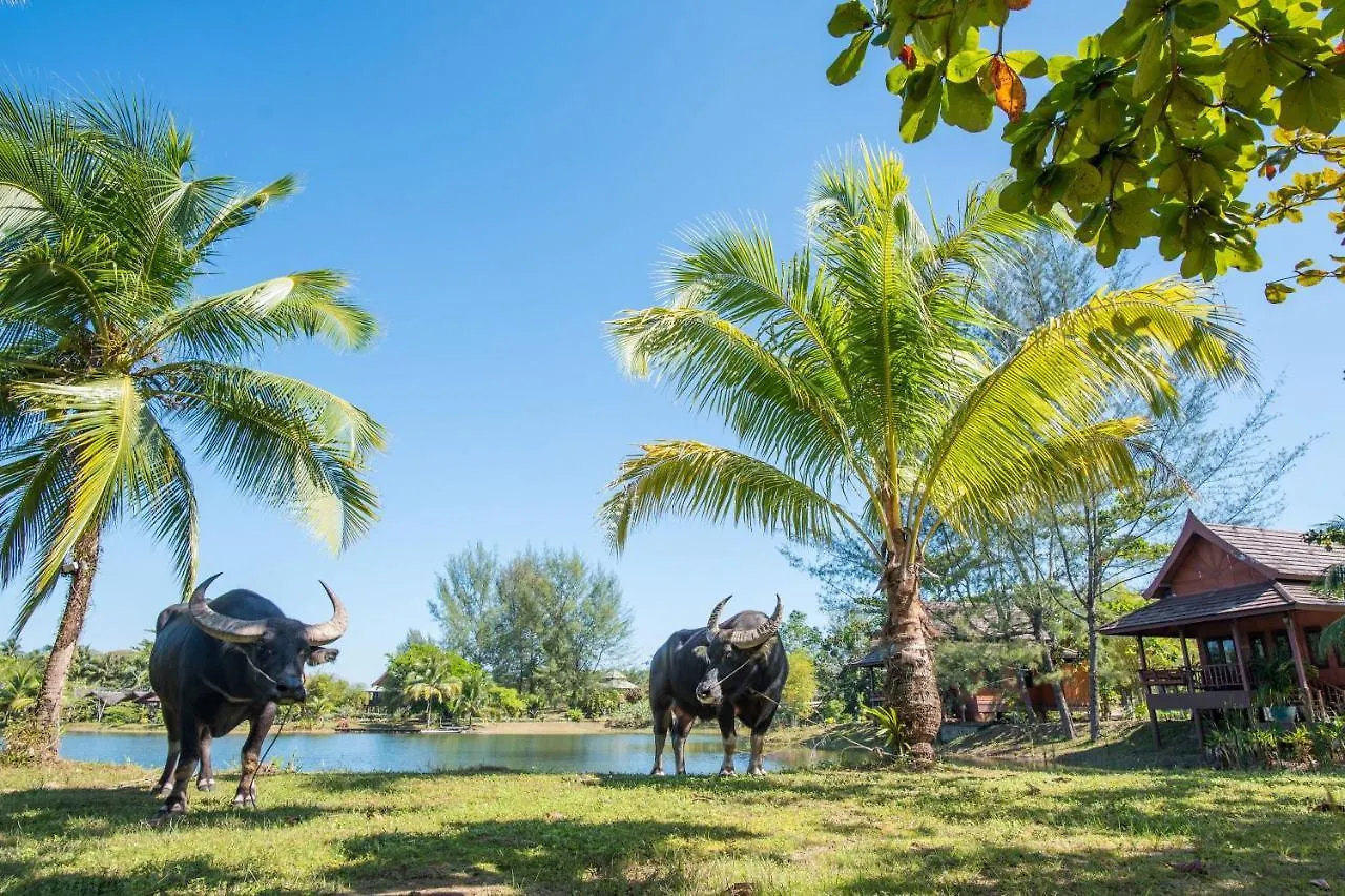 Thailife Wellness & Meditation Resort- Sha Plus Khao Lak
