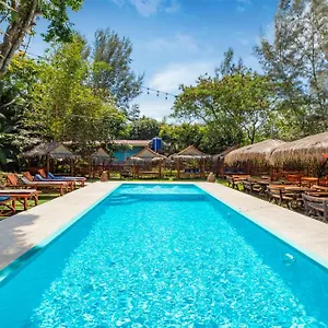 book here